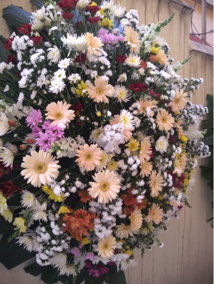 Floricultura